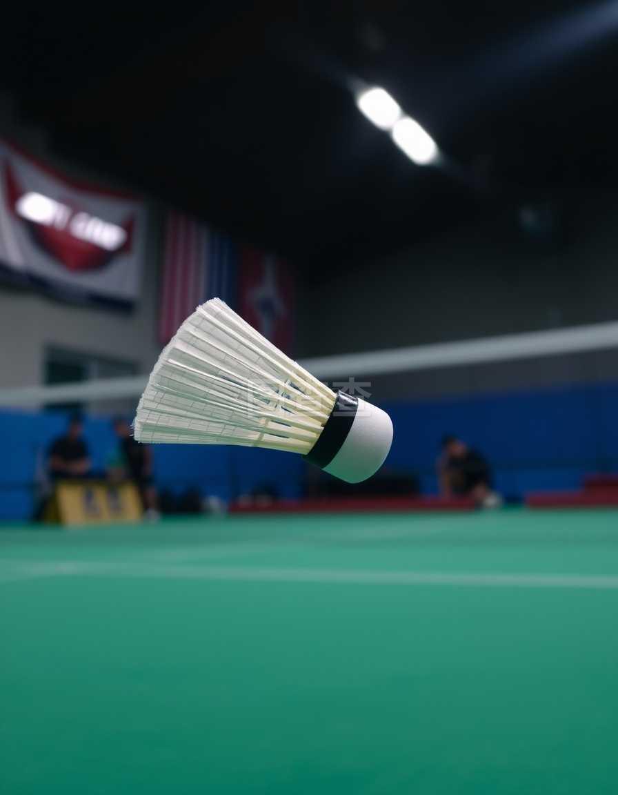 体育活动通讯稿体育资格信息网官网体育资讯软件.